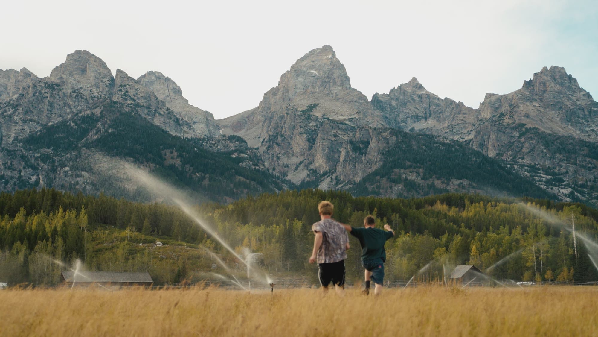 Mountains under a clean sky above a golden field